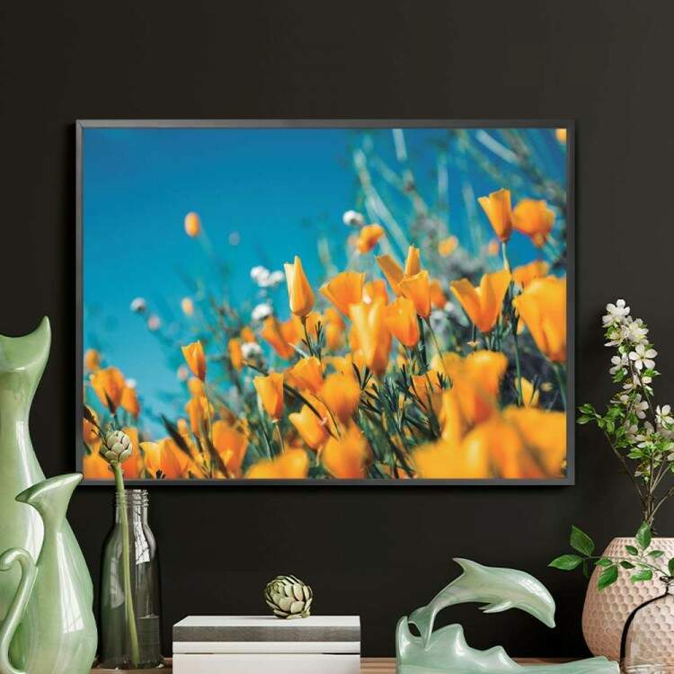 Quadro decorativo - Floral Flores Amarelas com o Fundo De Cu Azul