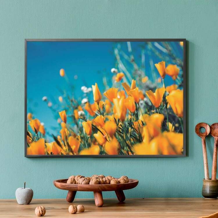 Quadro decorativo - Floral Flores Amarelas com o Fundo De Cu Azul