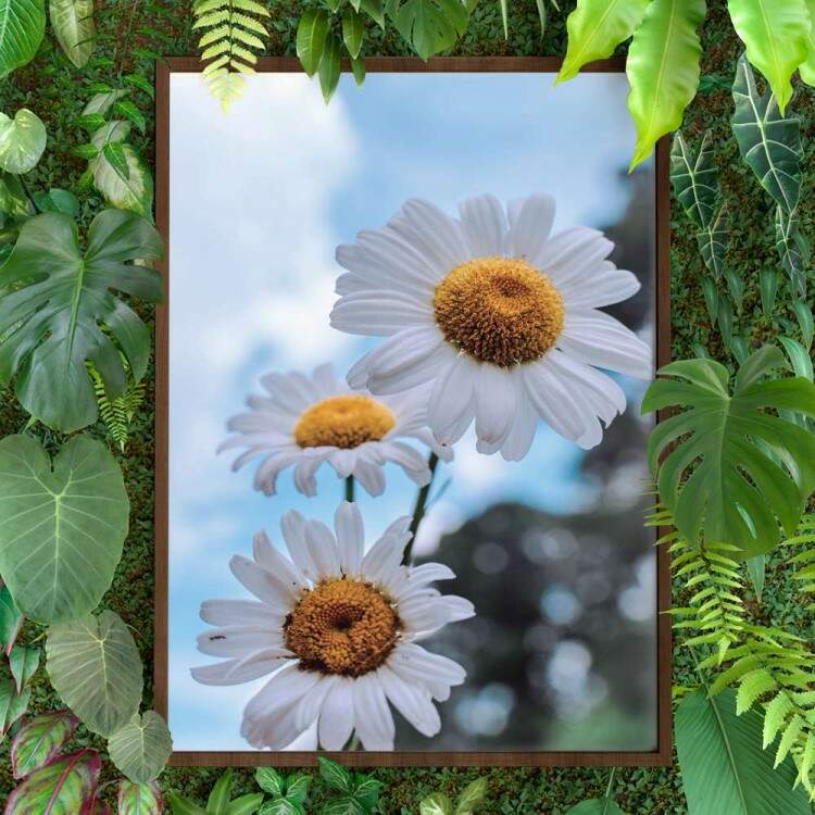Quadro decorativo - Floral Flores Brancas com Fundo Embaado