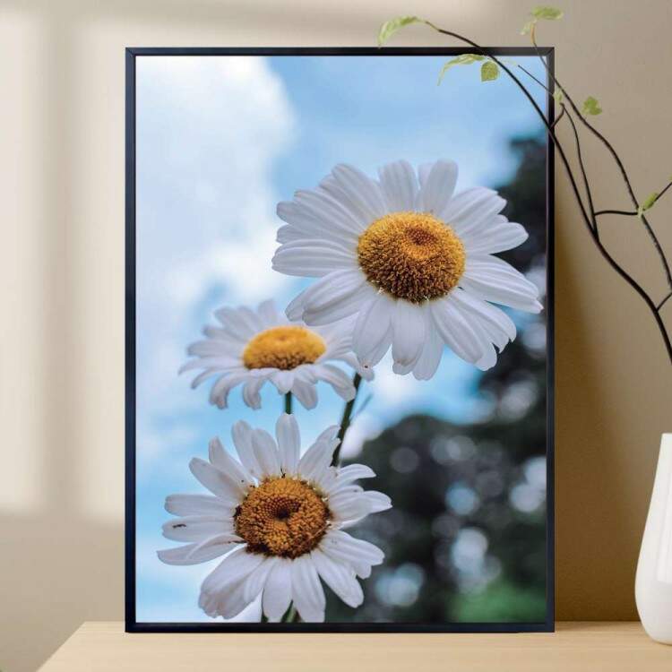 Quadro decorativo - Floral Flores Brancas com Fundo Embaado