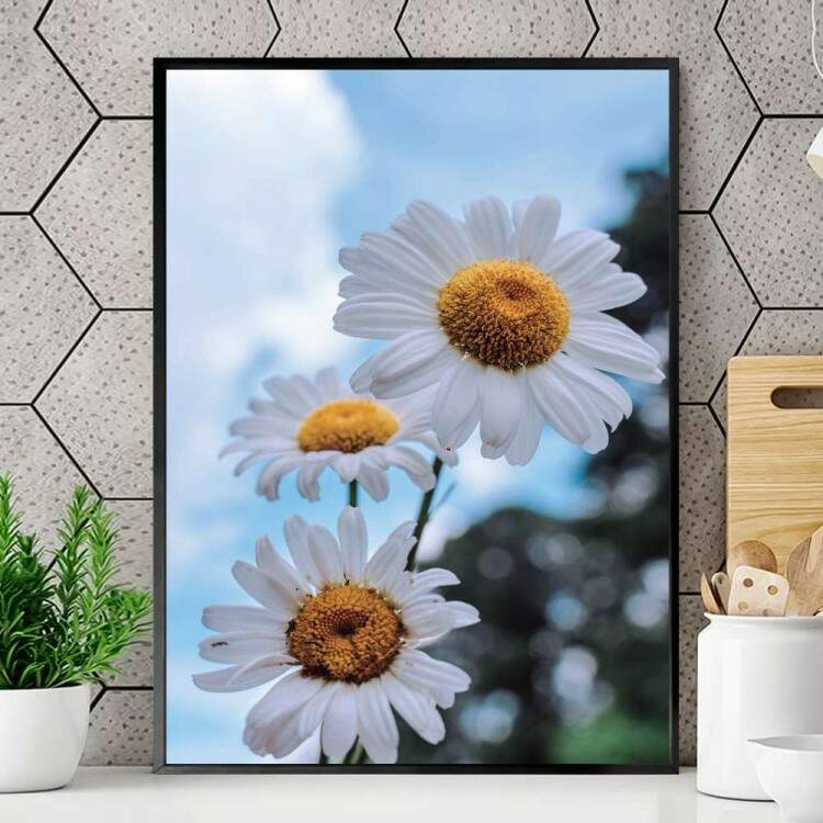 Quadro decorativo - Floral Flores Brancas com Fundo Embaado