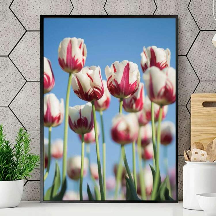 Quadro decorativo - Floral Flores Brancas e Rosa Fundo Cu Azul