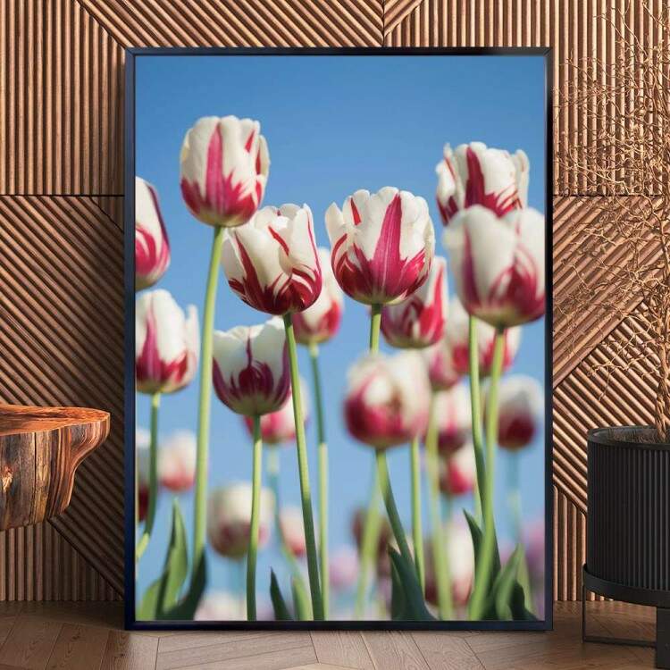 Quadro decorativo - Floral Flores Brancas e Rosa Fundo Cu Azul