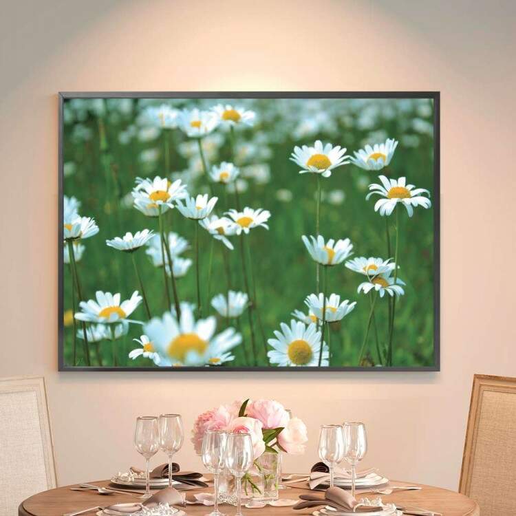 Quadro decorativo - Floral Flores Brancas em Campo