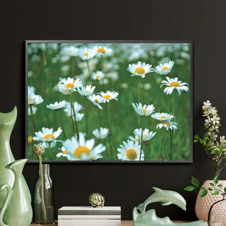 Quadro decorativo - Floral Flores Brancas em Campo