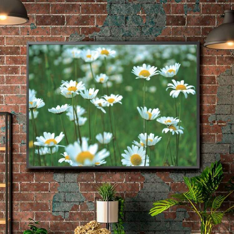 Quadro decorativo - Floral Flores Brancas em Campo