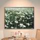 Quadro decorativo - Floral Flores em Campo