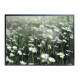 Quadro decorativo - Floral Flores em Campo