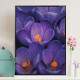 Quadro decorativo - Floral Flores Roxas com Gotas de �gua