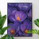 Quadro decorativo - Floral Flores Roxas com Gotas de �gua