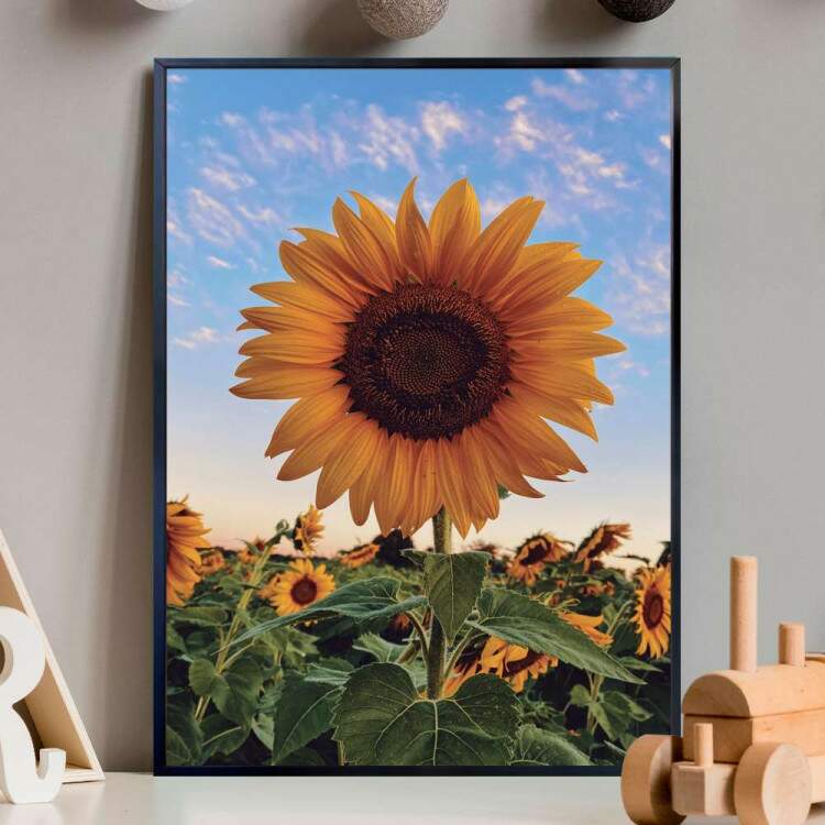 Quadro decorativo - Floral Girassol em Campo