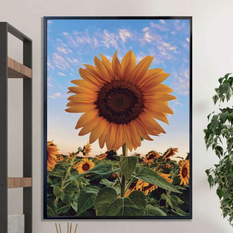 Quadro decorativo - Floral Girassol em Campo