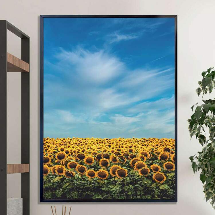 Quadro decorativo - Floral Girassis e Cu Azul