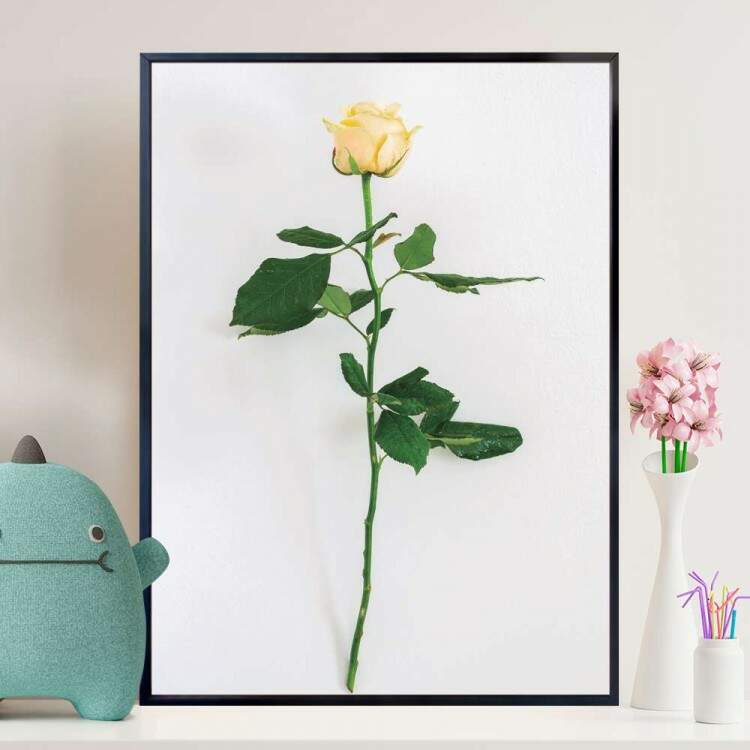 Quadro decorativo - Floral Rosa Amarela Fundo Branco