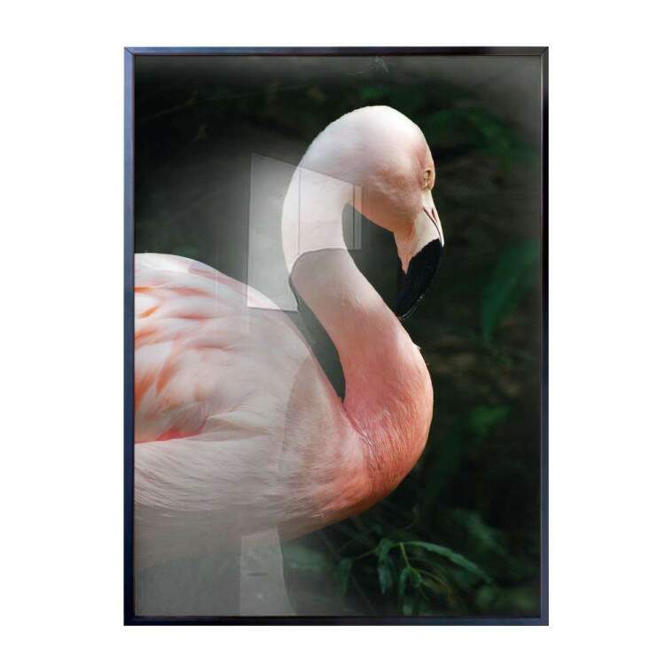Quadro decorativo animais flamingo