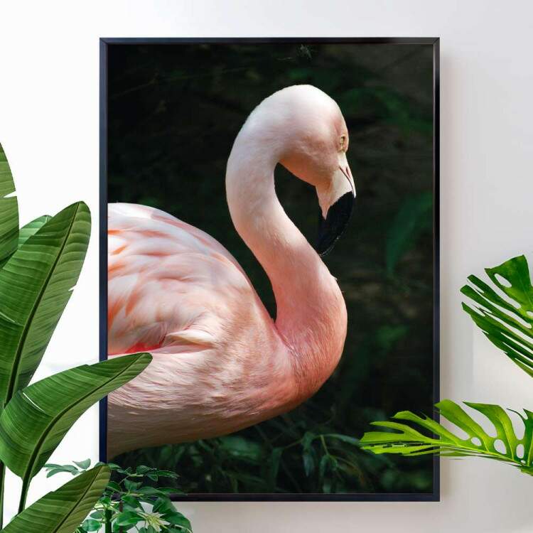 Quadro decorativo animais flamingo