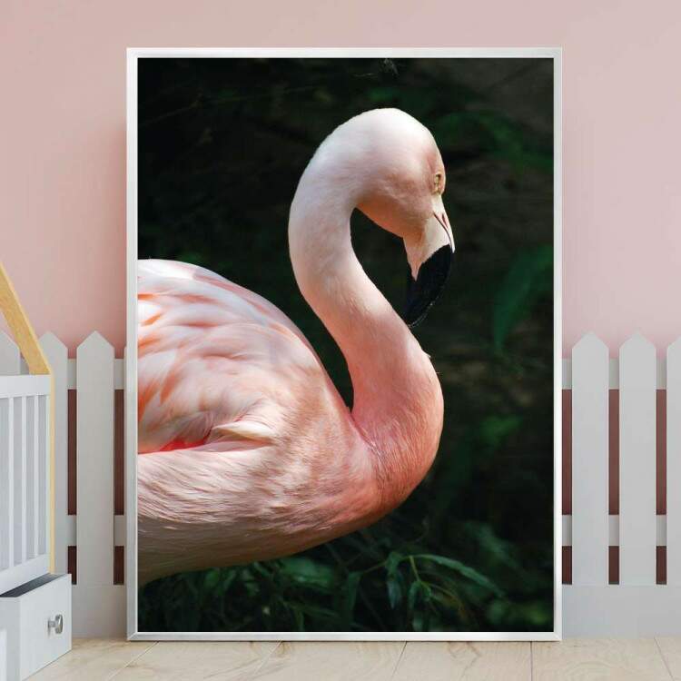 Quadro decorativo animais flamingo