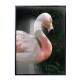 Quadro decorativo animais flamingo