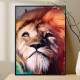 Quadro decorativo animais Le�o