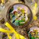 Etiquetas Adesivas para anivers�rio Shrek