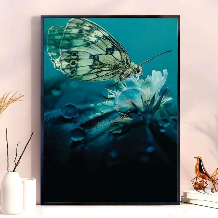 Quadro Decorativo Animais Mariposa