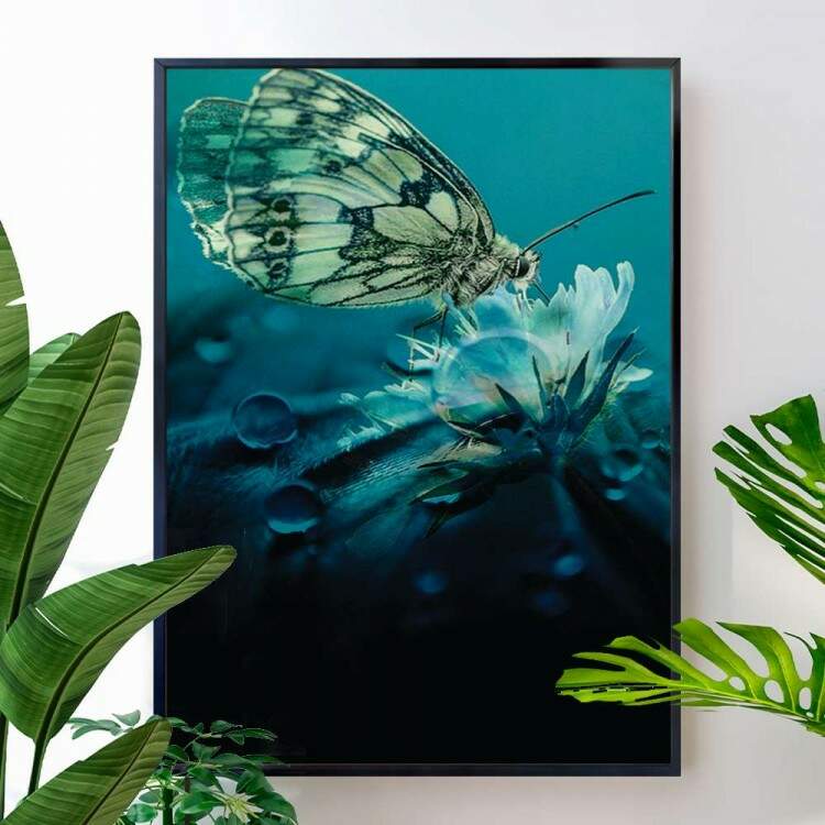 Quadro Decorativo Animais Mariposa