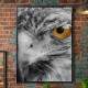 Quadro Decorativo Olhos De Aguia