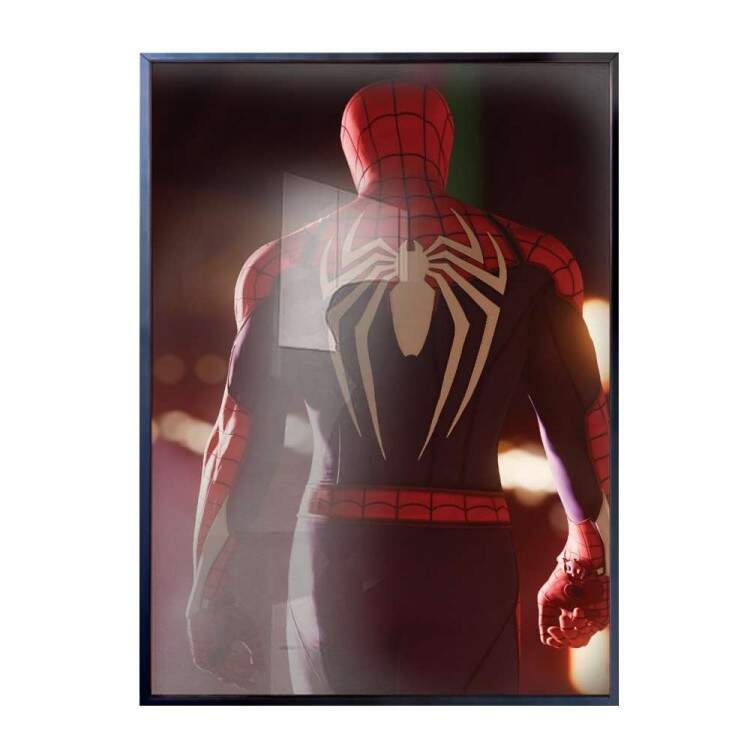Quadro Decorativo Homem Aranha De Costas