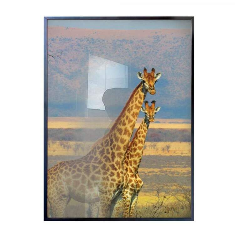 Quadro Decorativo Animais Duas Girafas