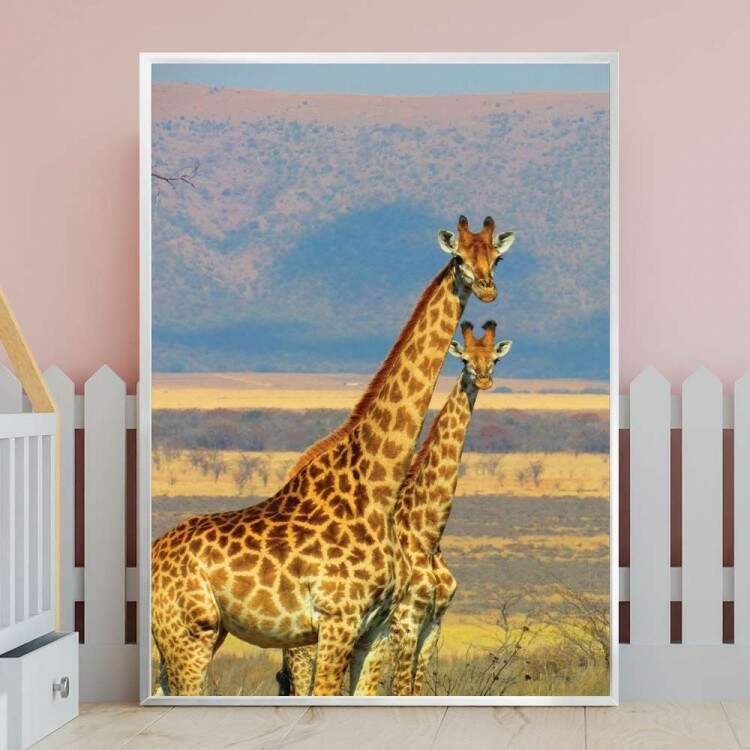 Quadro Decorativo Animais Duas Girafas