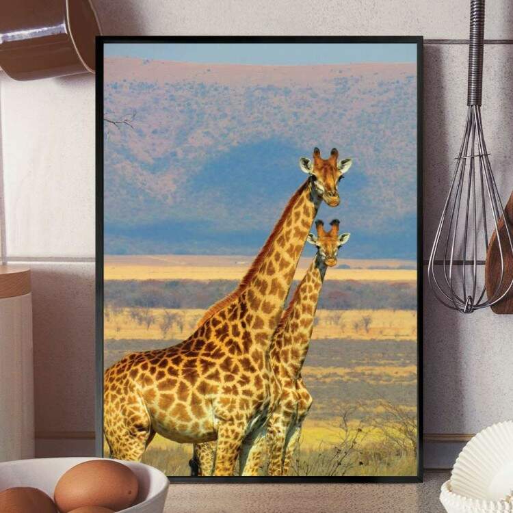 Quadro Decorativo Animais Duas Girafas