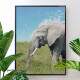 Quadro Decorativo Animais Elefante Na Grama