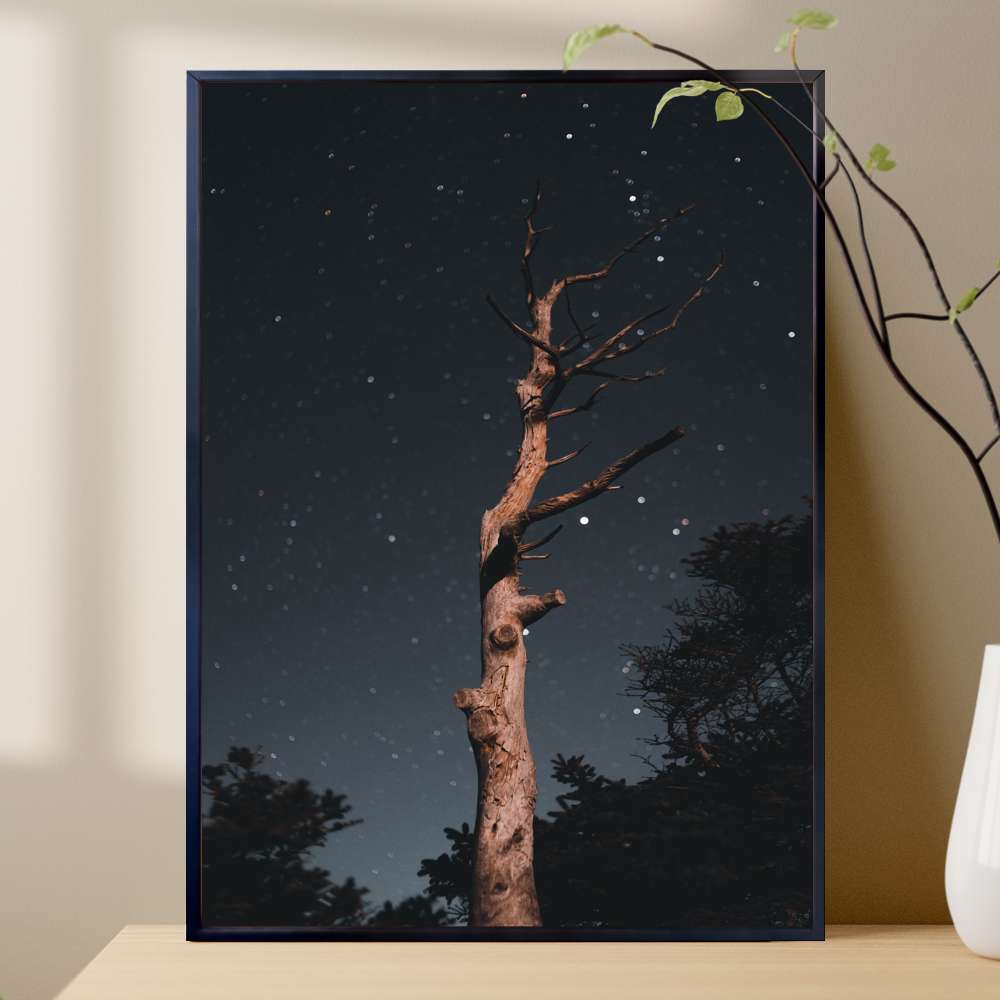Quadro Decorativo Arvore Seca Ao C�u Estrelado