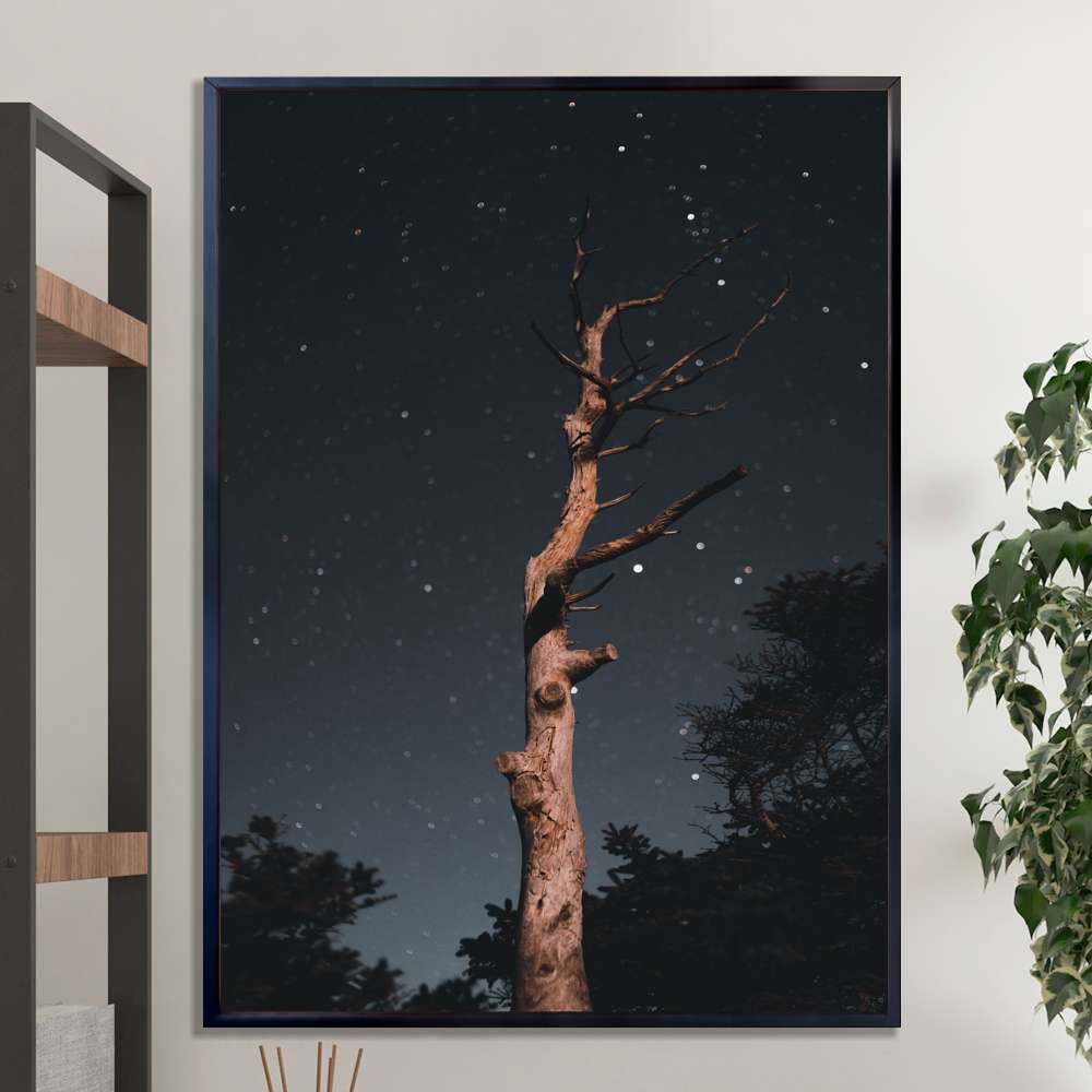 Quadro Decorativo Arvore Seca Ao C�u Estrelado