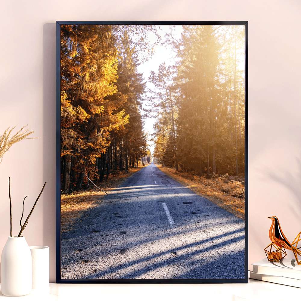 Quadro Decorativo Estrada Vazia Com Arvores Grandes