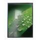 Quadro Decorativo Gotas De Agua Na Folha