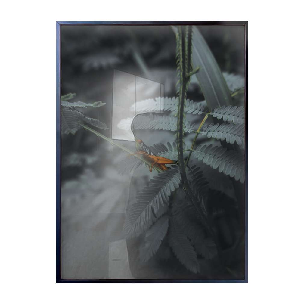 Quadro Decorativo Plantas Vista De Perto