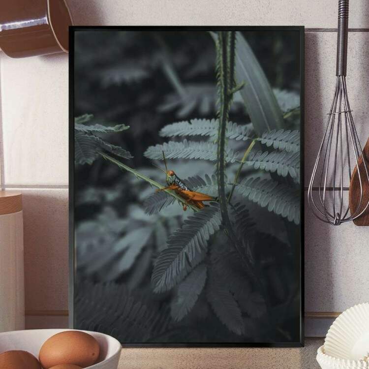 Quadro Decorativo Plantas Vista De Perto