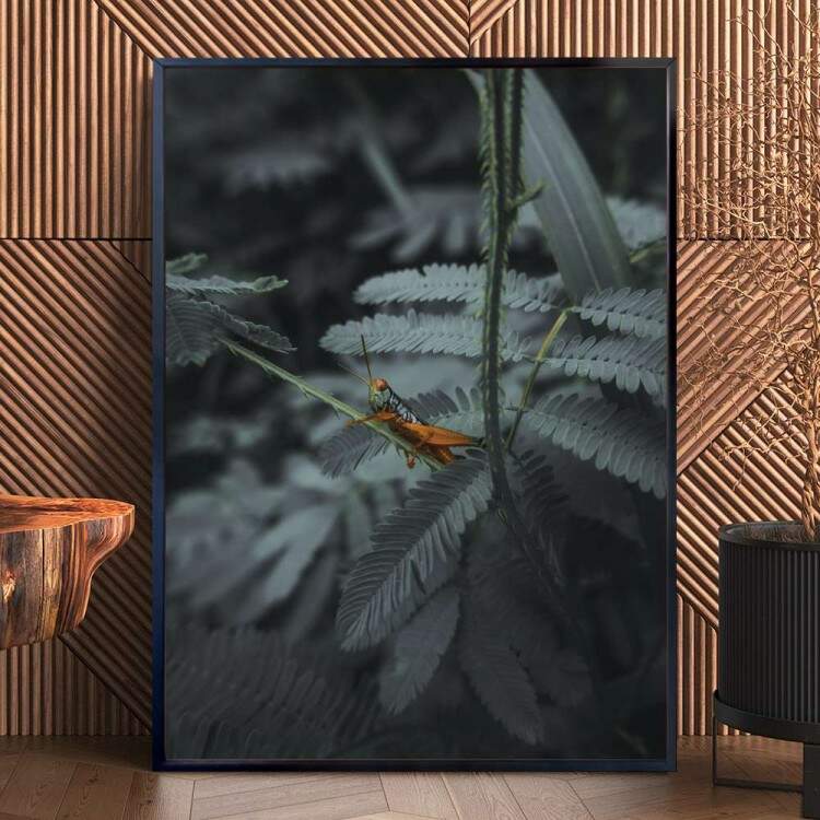 Quadro Decorativo Plantas Vista De Perto