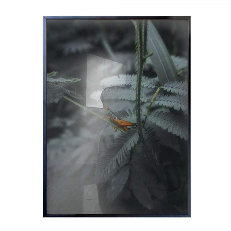 Quadro Decorativo Plantas Vista De Perto