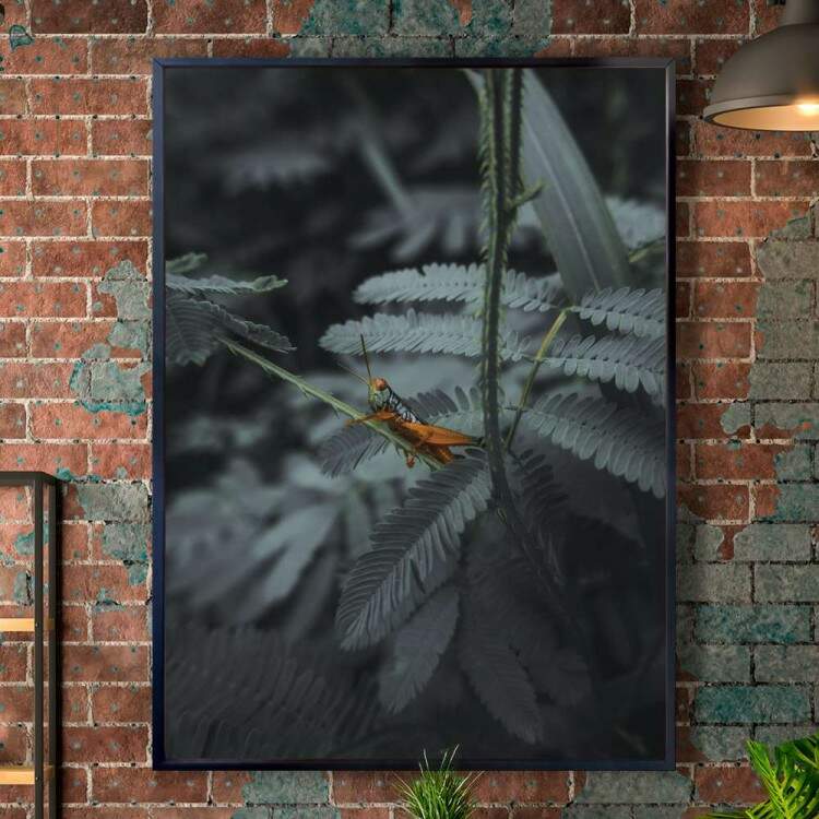 Quadro Decorativo Plantas Vista De Perto