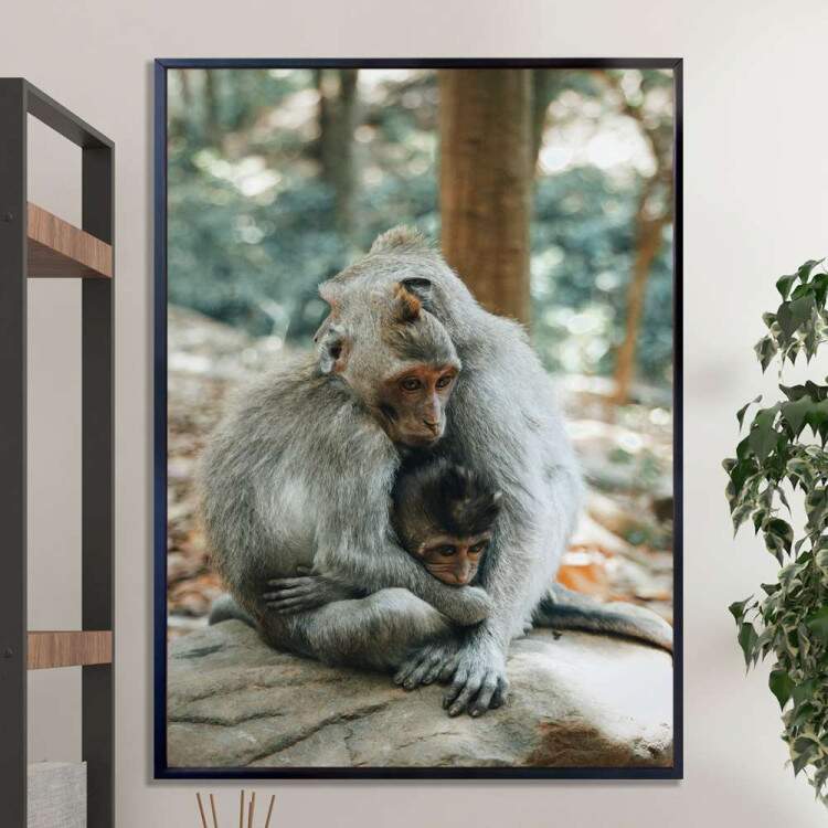 Quadro Decorativo Animais Macacos Se ABraando