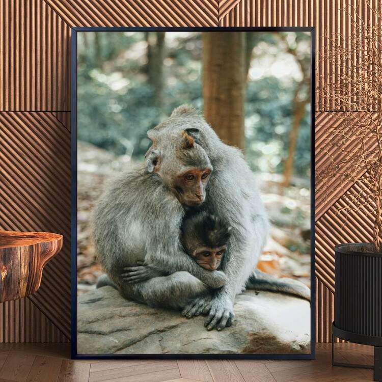 Quadro Decorativo Animais Macacos Se Abraando