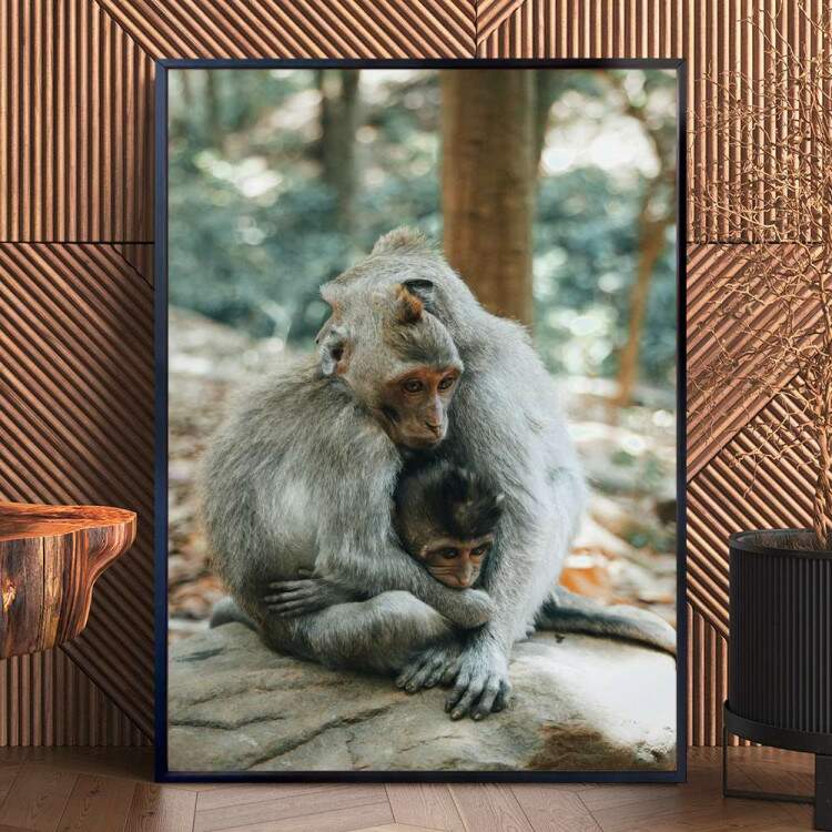 Quadro Decorativo Animais Macacos Se ABraando