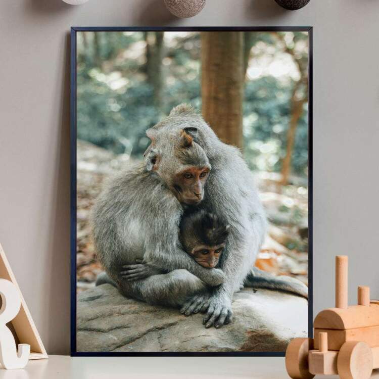 Quadro Decorativo Animais Macacos Se ABraando