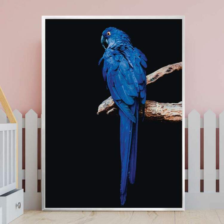 Quadro Decorativo Arara Azul Em Cima Do Galho