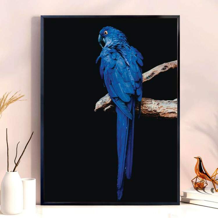 Quadro Decorativo Arara Azul Em Cima Do Galho