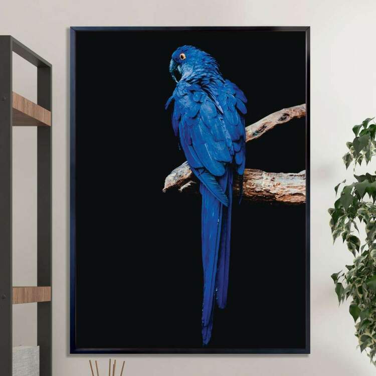Quadro Decorativo Arara Azul Em Cima Do Galho