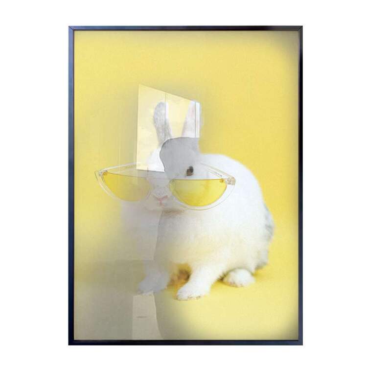 Quadro Decorativo Coelho Branco Com culos