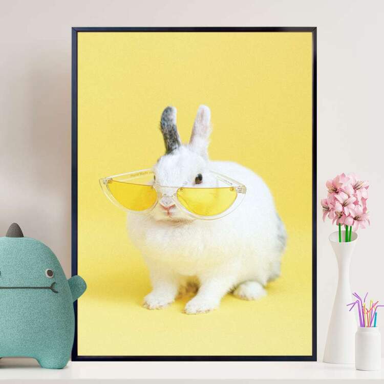 Quadro Decorativo Coelho Branco Com culos